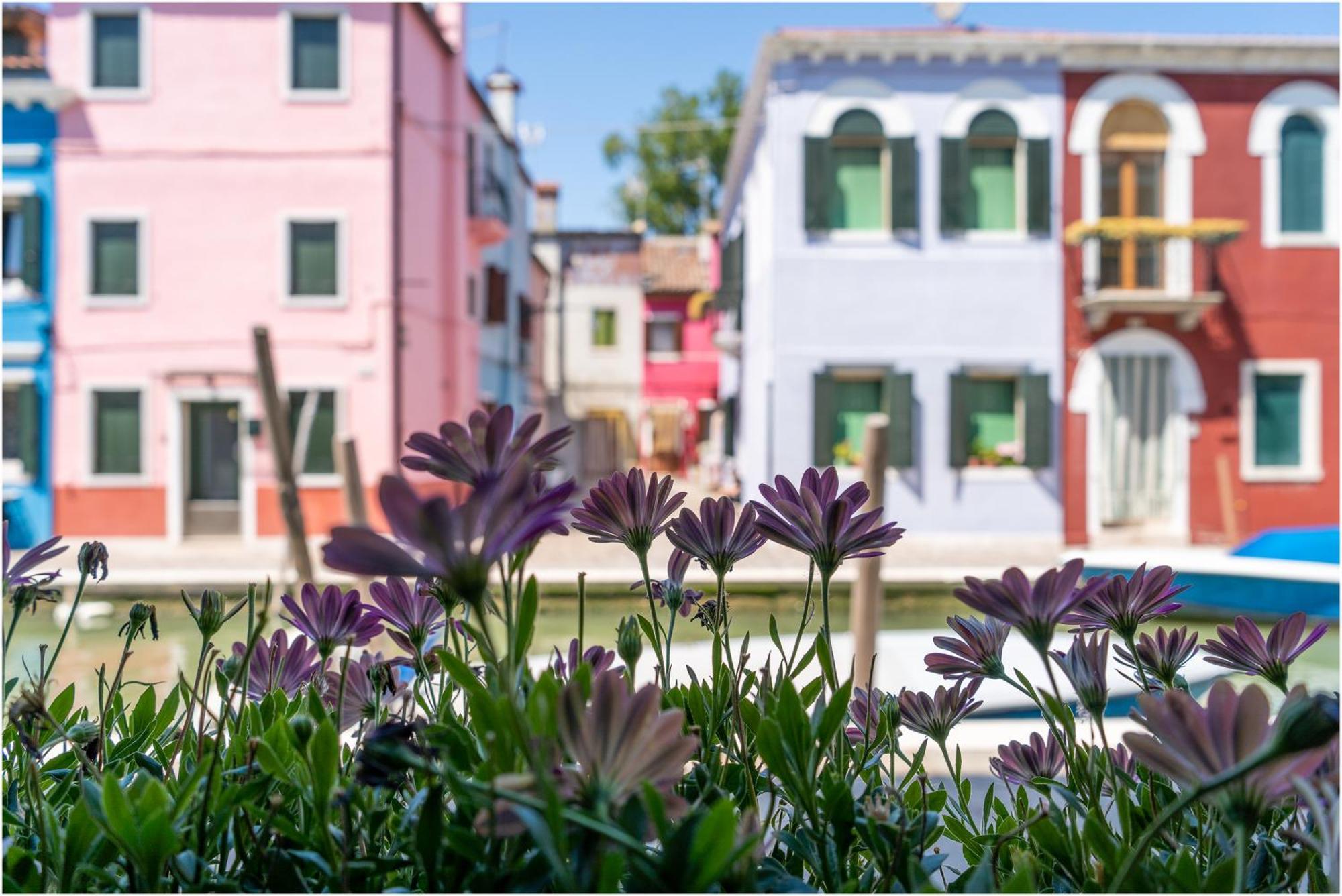 Tiffany Home Burano Ngoại thất bức ảnh
